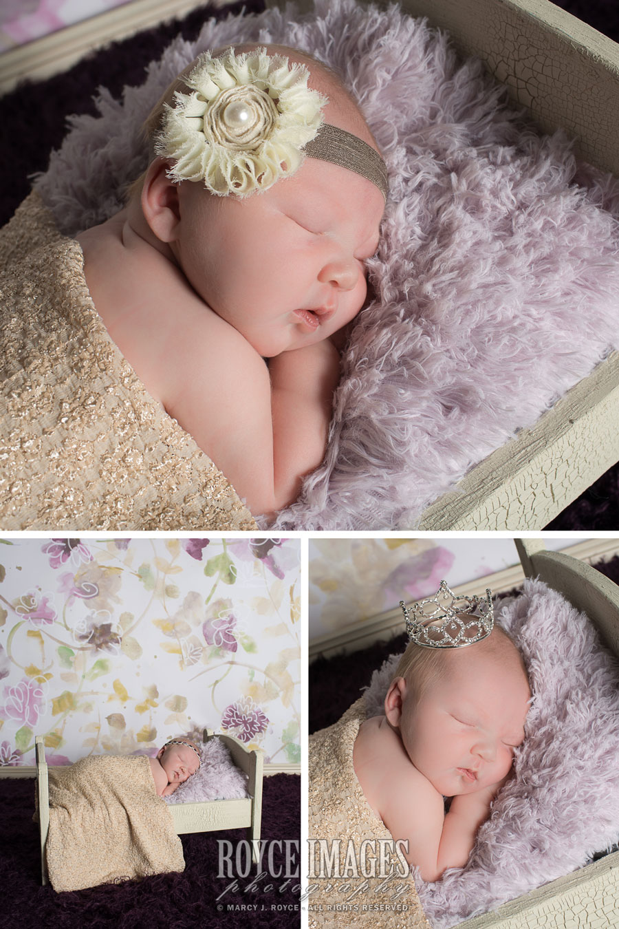 Newborn Maeve Session