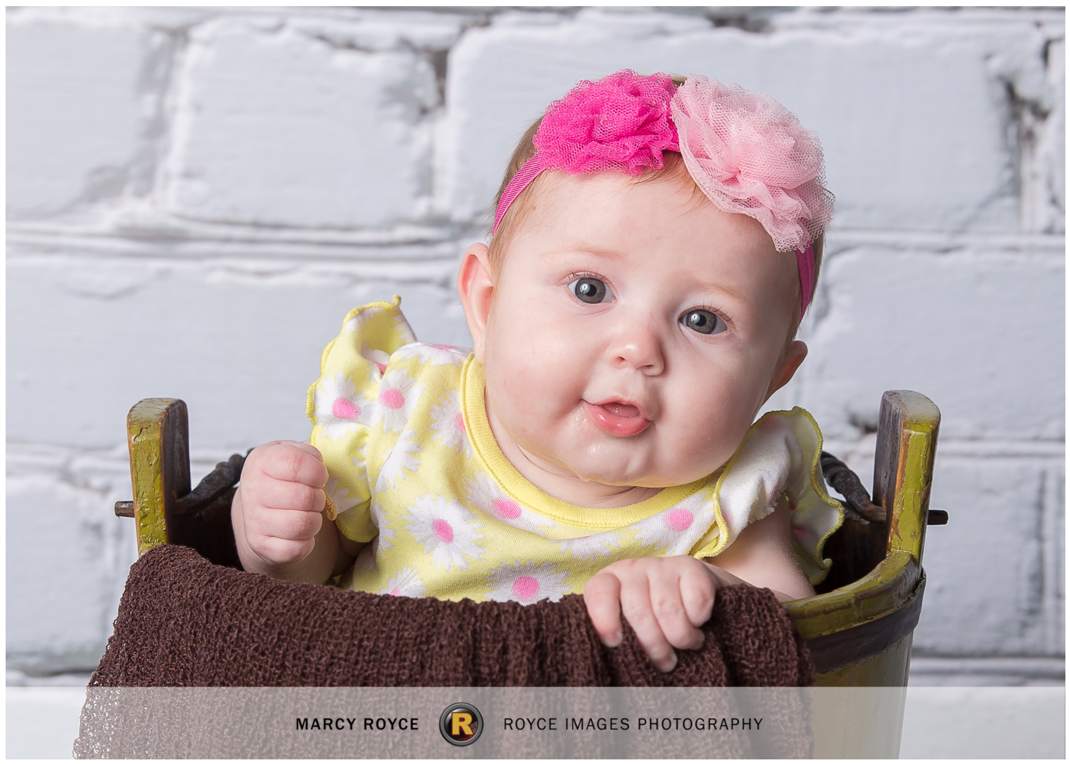 Six Month Noelle - York PA Child Photographer