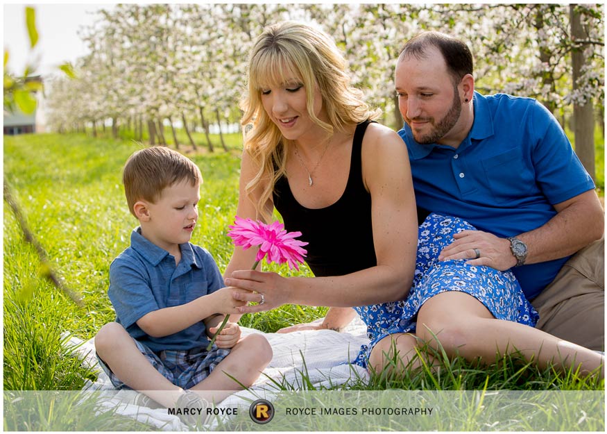 Spring Orchard Mini Session - York PA Family Photographer